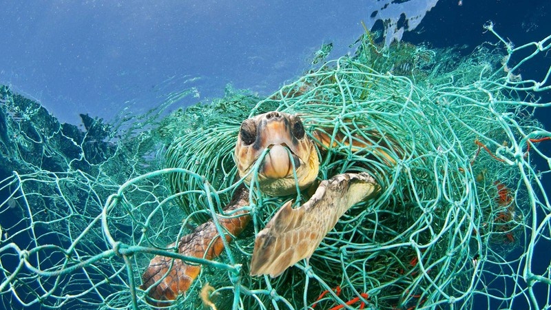 Ngành thủy sản đối diện với cảnh báo “rác sẽ nhiều hơn cá”