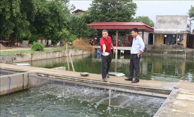 Nuôi cá ứng dụng công nghệ "sông trong ao"