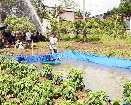 Trữ nước ngọt.