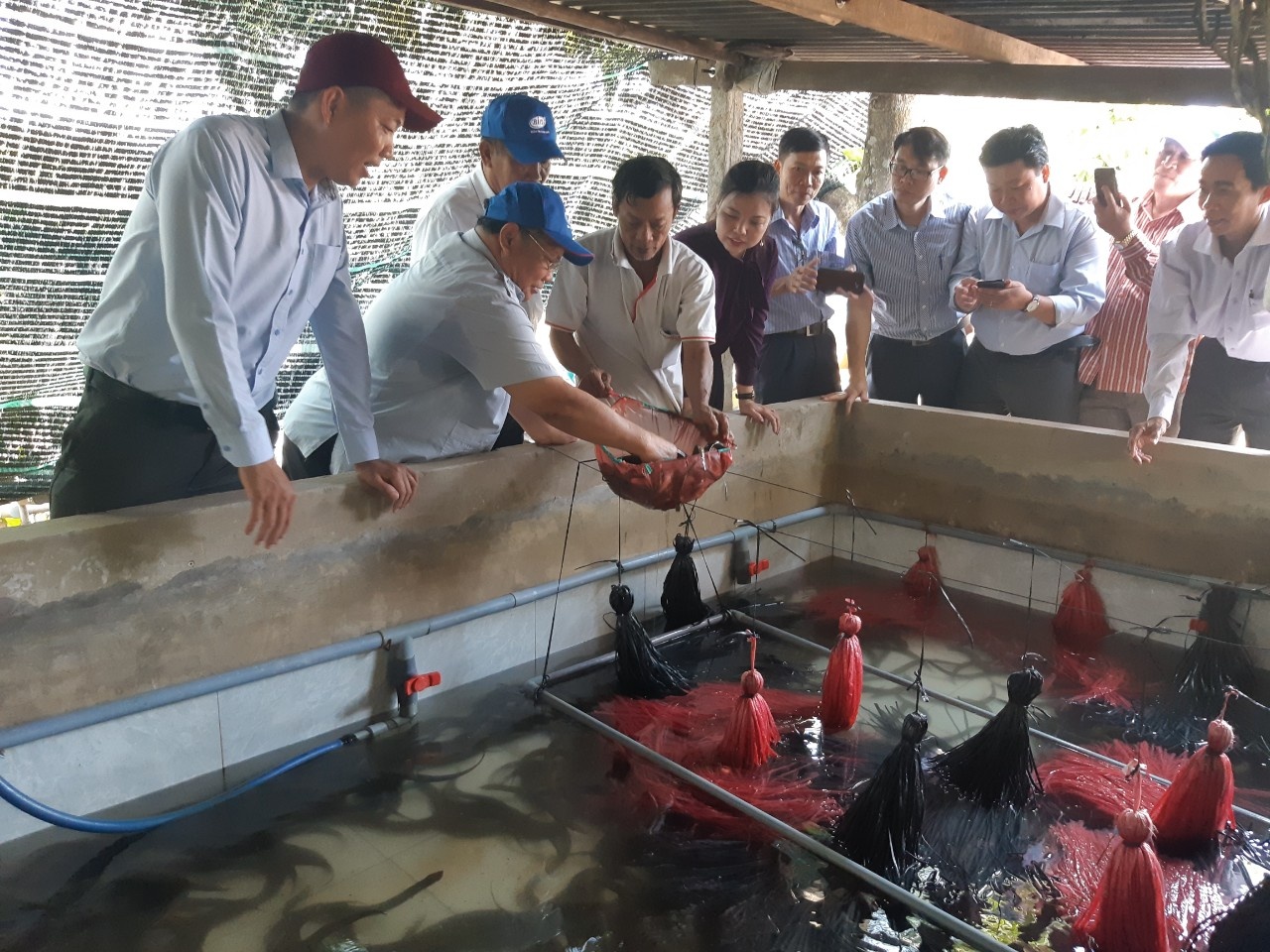 Chàng thanh niên khởi nghiệp thành công với mô hình nuôi lươn không bùn   Sở Nông nghiệp và Phát triển Nông thôn Hà Tĩnh