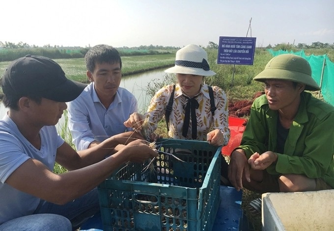 Khuyến nông