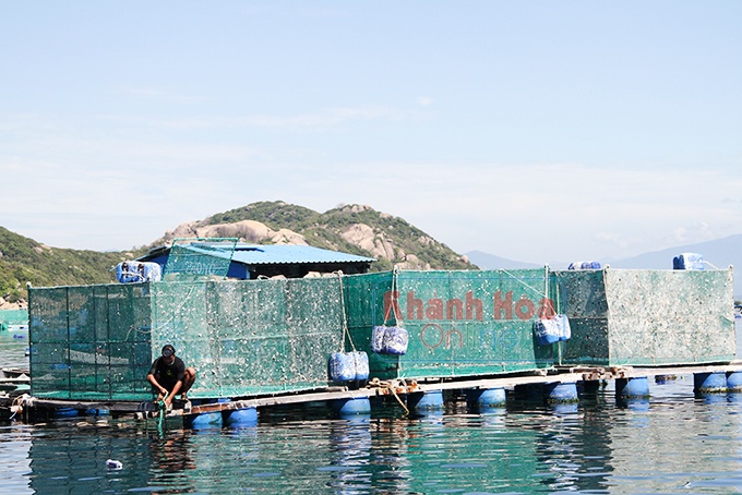 lồng nuôi tôm hùm