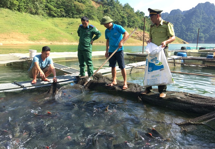 Nuôi cá đặc sản