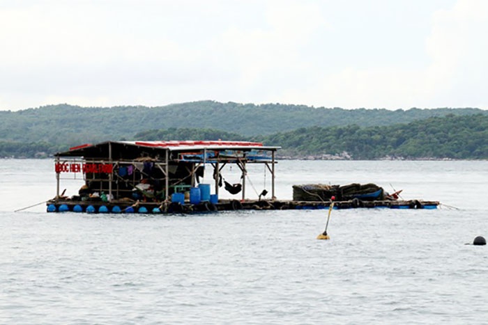 Nuôi trai lấy ngọc