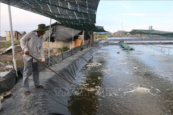 Nuôi tôm công nghệ cao