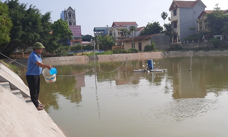 Giống thủy sản