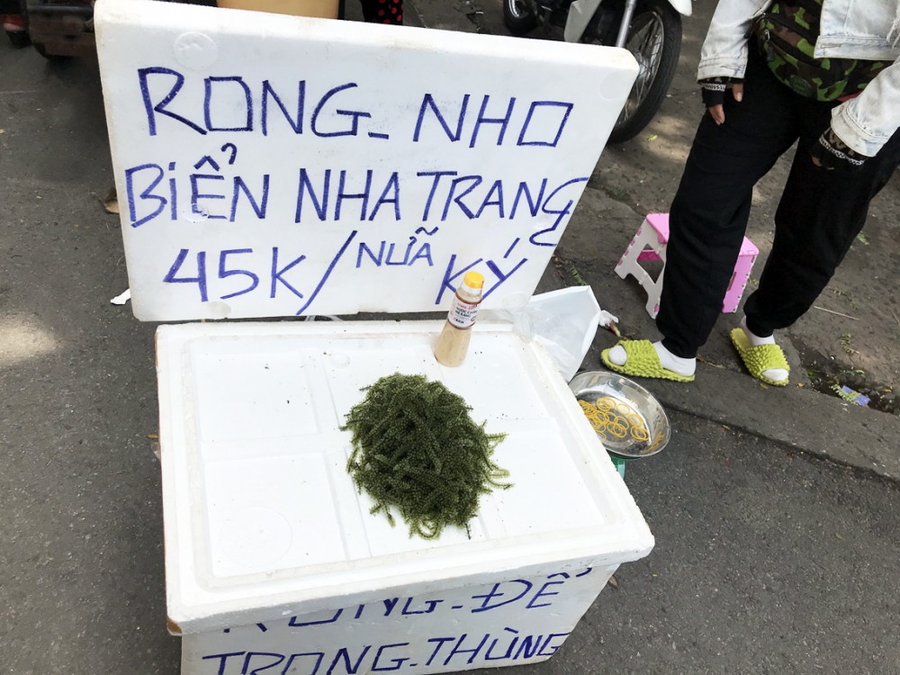 rong nho vỉa hè