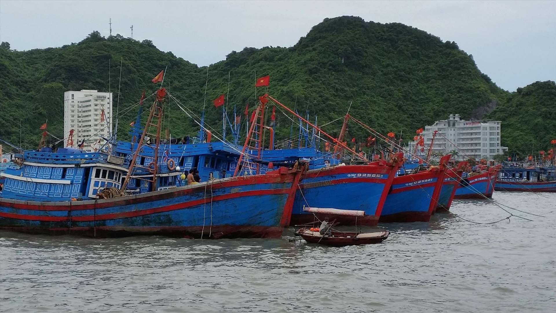 tàu đánh cá việt nam