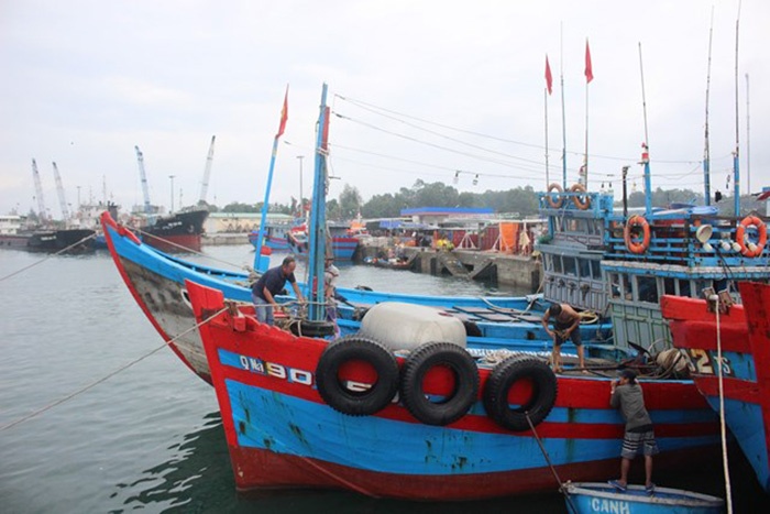 tàu thuyền tránh trú bão