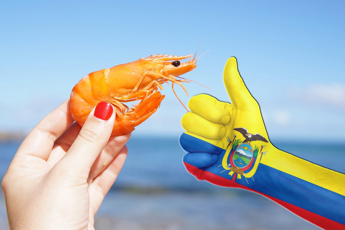 nuôi tôm ở Ecuador