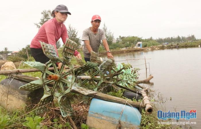 Quạt tôm hư hỏng