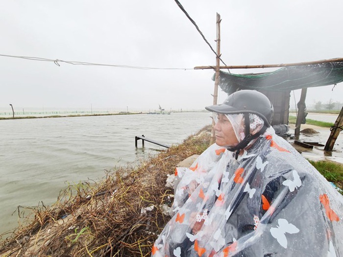 thủy sản sau bão