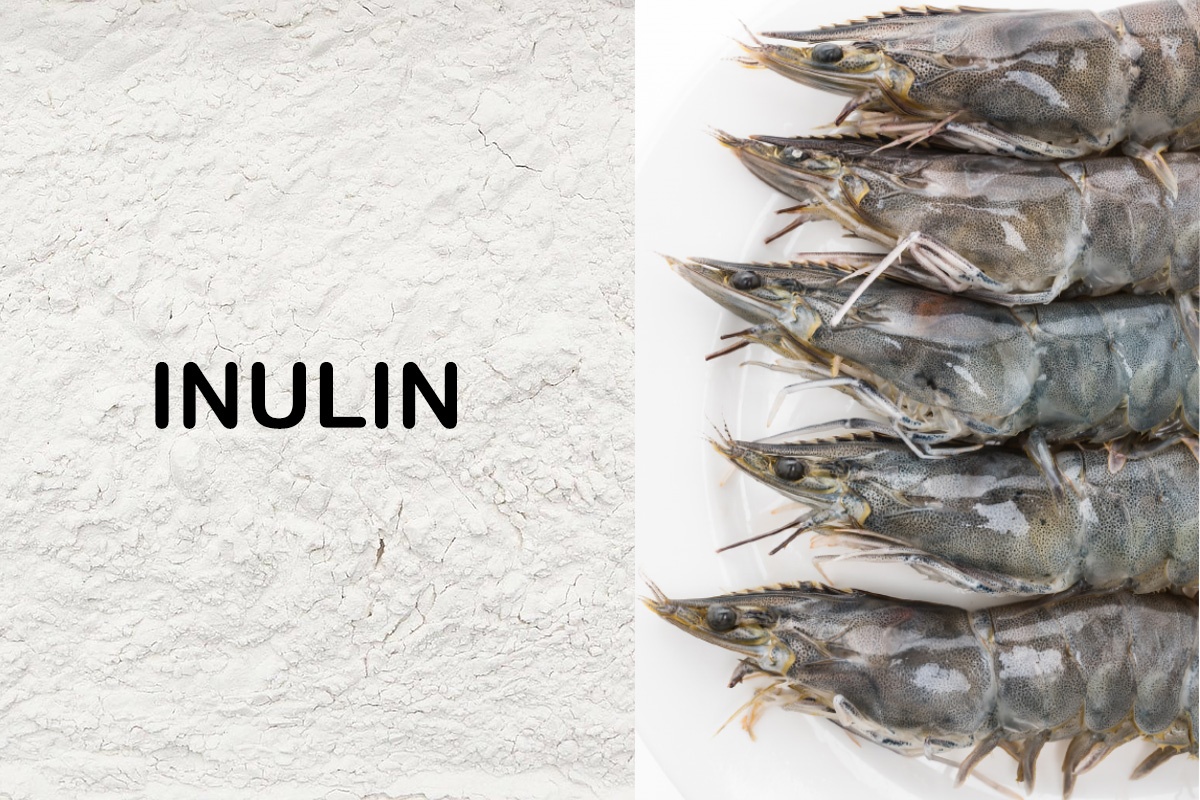 Inulin