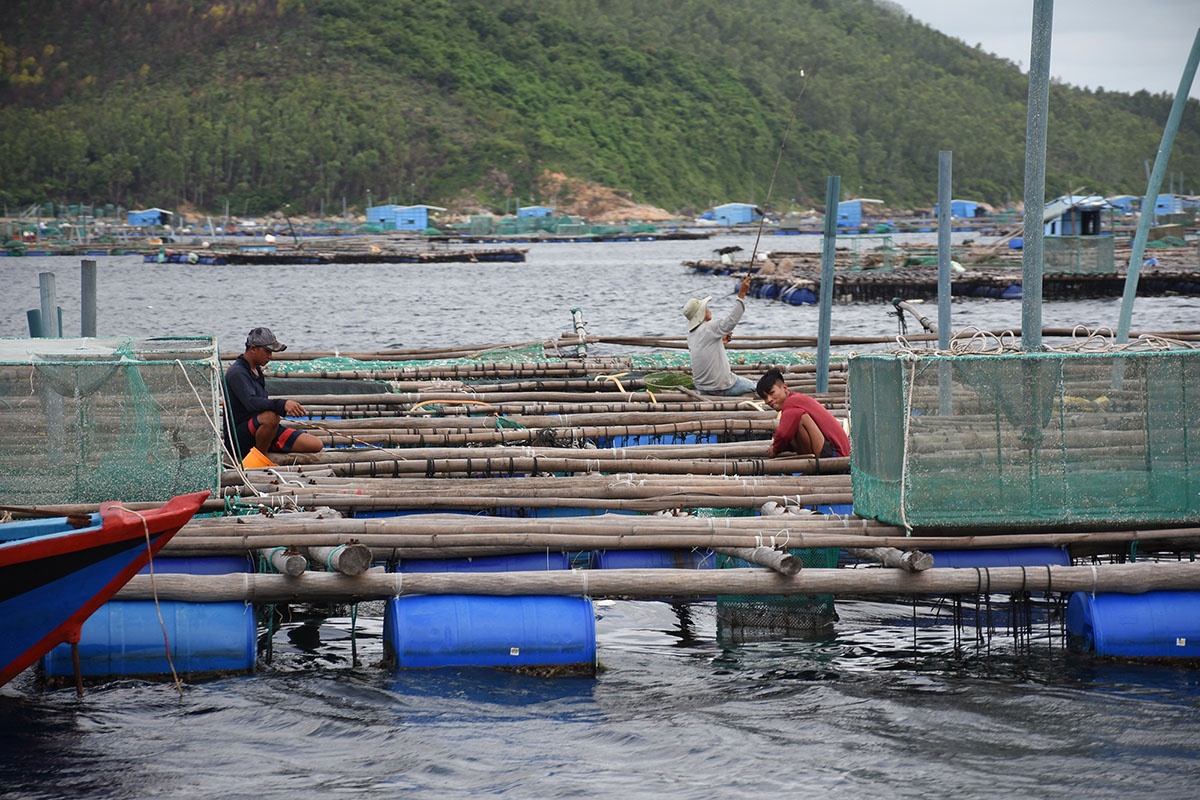 chằng neo lồng bè