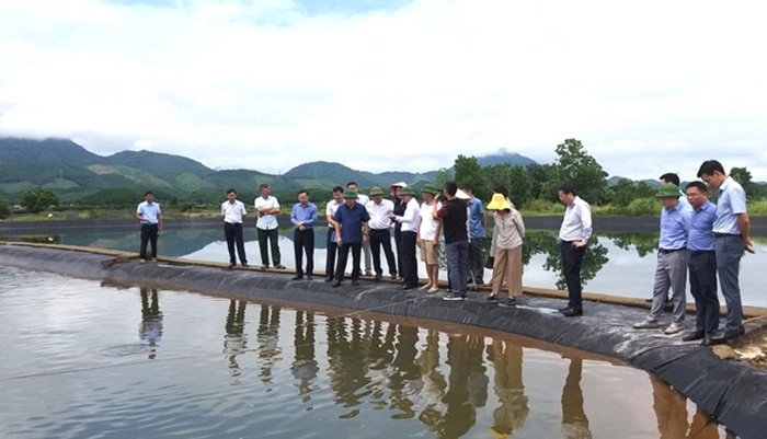 nuôi thương phẩm cá chẽm