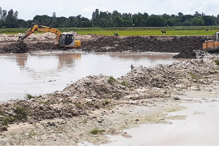 san lấp ao cá tra