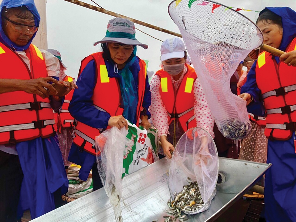 Thả cá bản địa