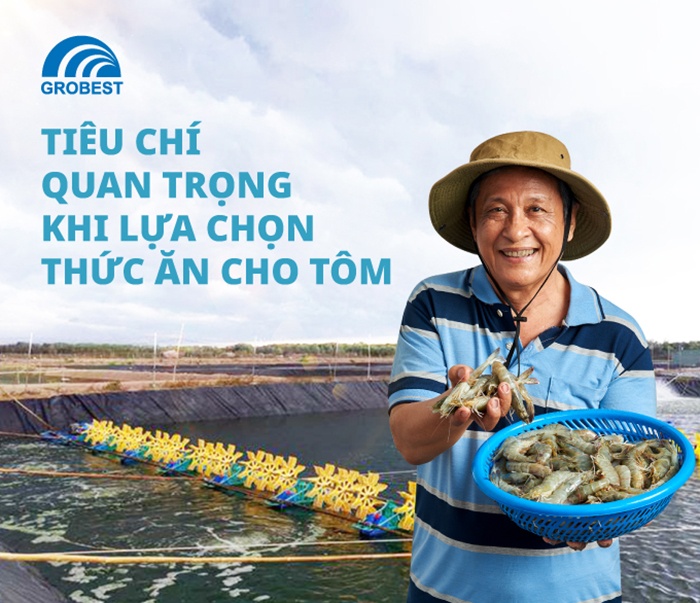 Tiêu chí quan trọng khi lựa thức ăn cho tôm