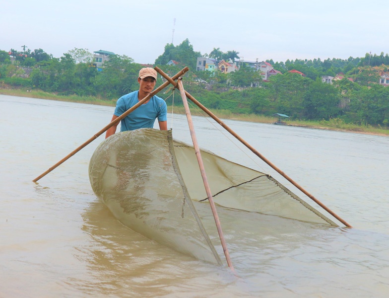 Cá bống sông Lô
