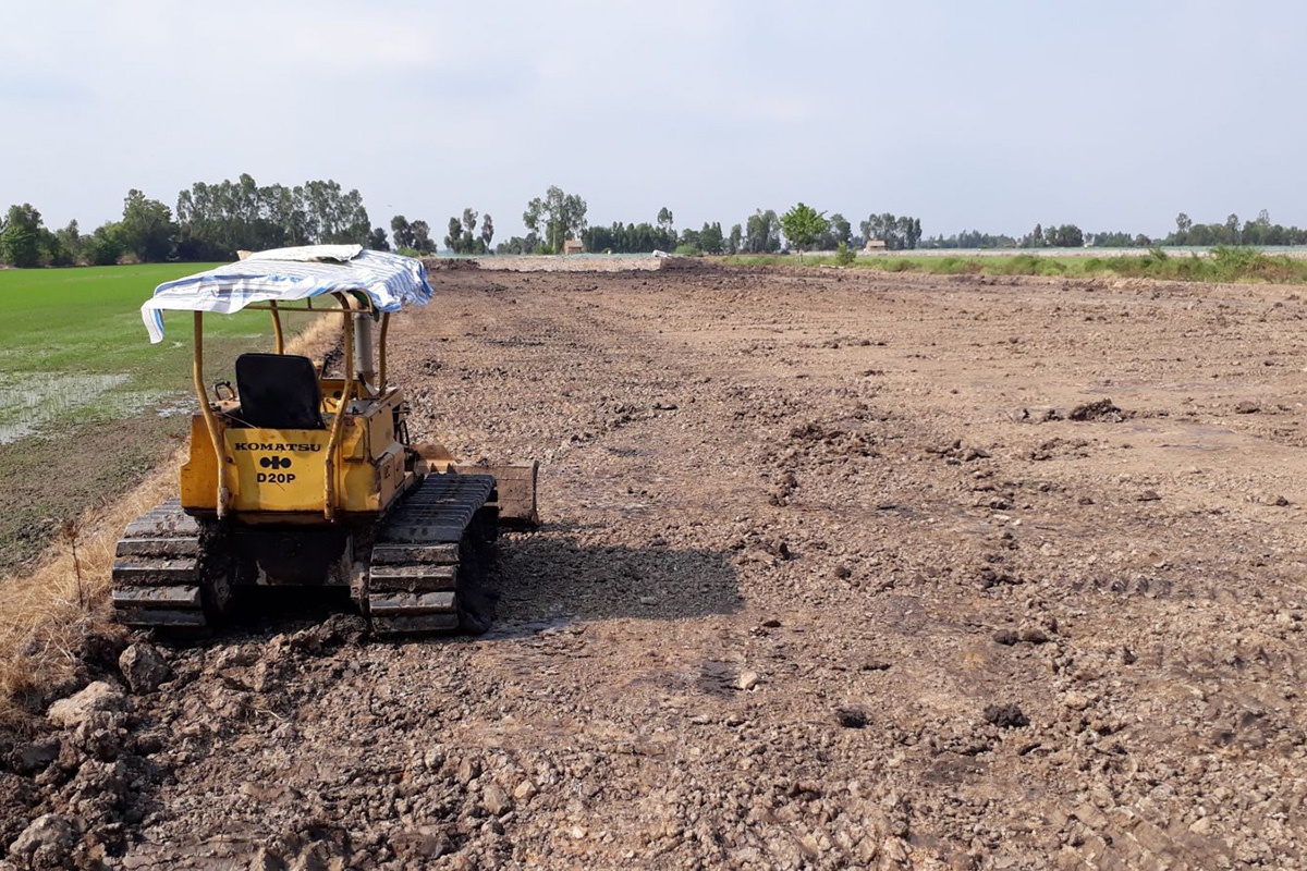 lấp ao cá trồng lúa