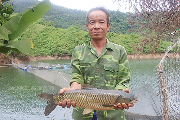 nuôi cá thủy điện
