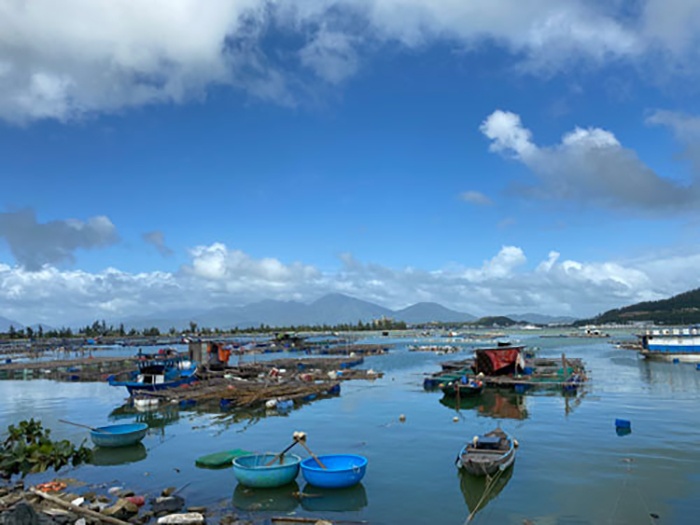 lồng bè nuôi cá trái phép