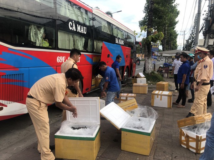 tôm chứa tạp chất