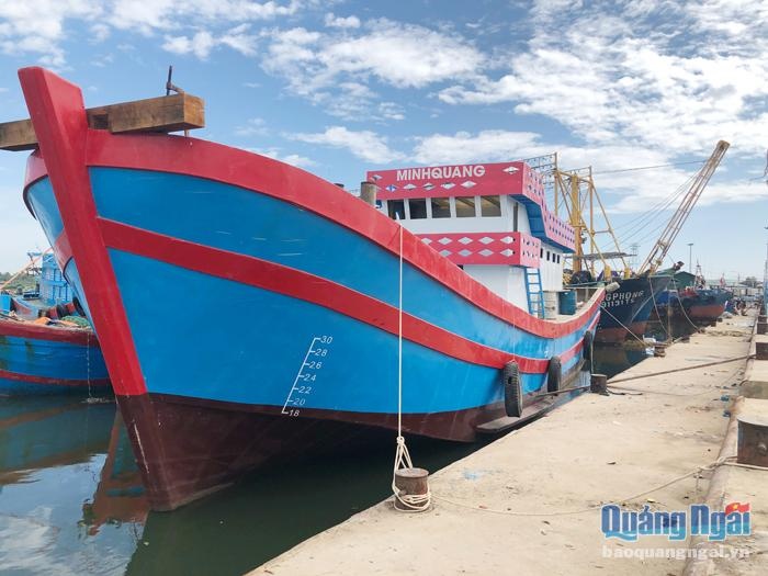 Tàu nằm bờ