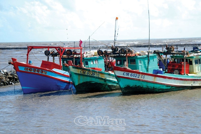 Tàu đánh bắt cá