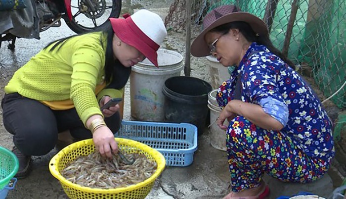 thu mua tôm đất