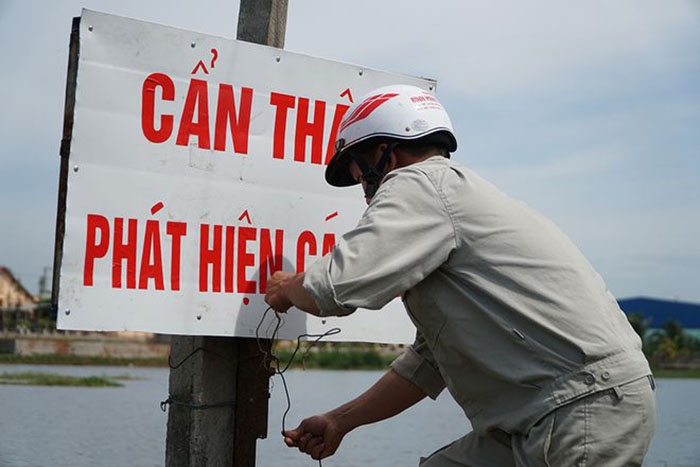 cá sấu sổng chuồng
