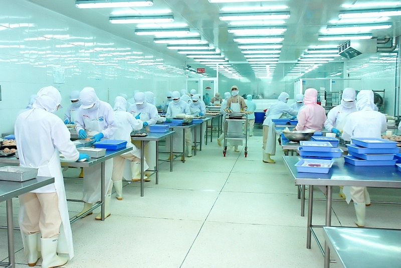 Chế biến cá tra.