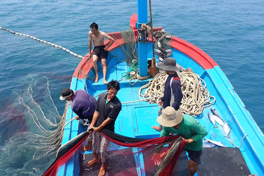 Khai thác thủy hải sản