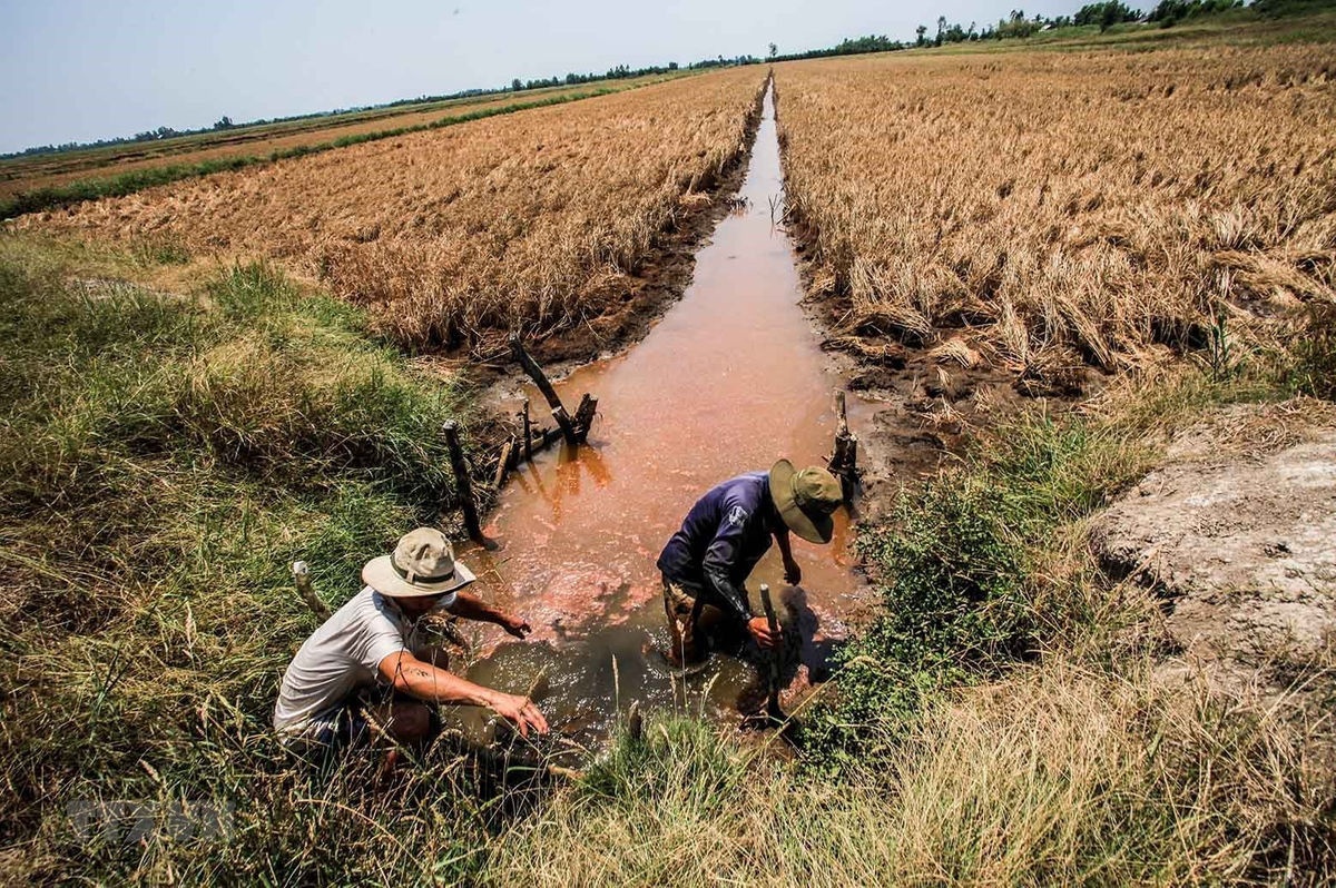 Xâm nhập mặn