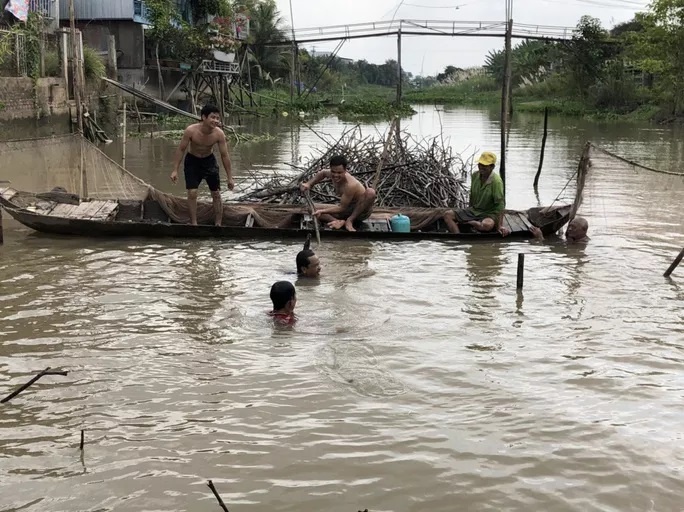 Dỡ chà bắt cá