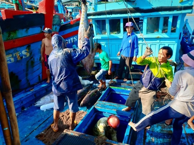 Lộc biển đầu năm