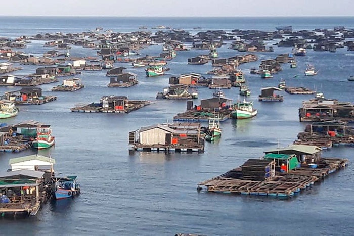 Làng nghề nuôi cá.