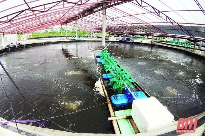 Mô hình nuôi trồng thủy sản