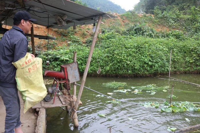 Nuôi cá ở Pác Thiên