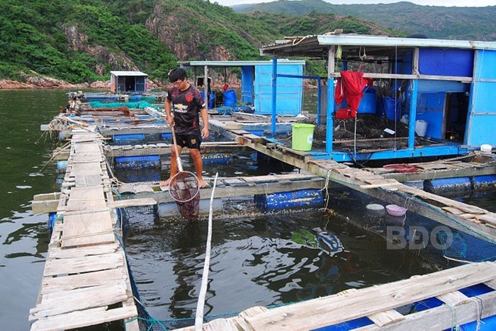 Quản lý rác thải