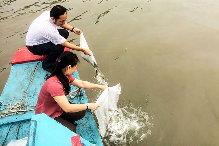 Thả cá về thiên nhiên