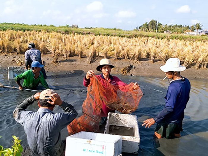 Xâm nhập mặn