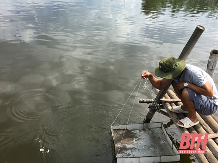 Người dân nuôi trồng thủy sản ở xã Hoằng Yến.