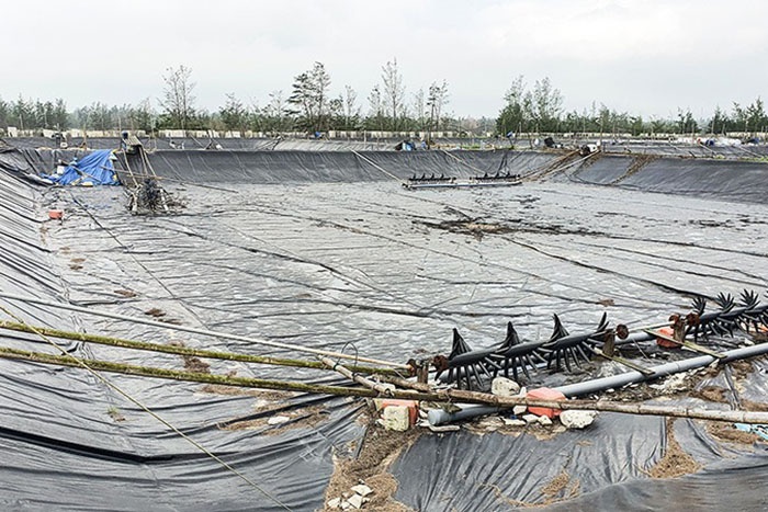 Nhiều ao nuôi tôm trên cát vẫn đang bị bỏ hoang.