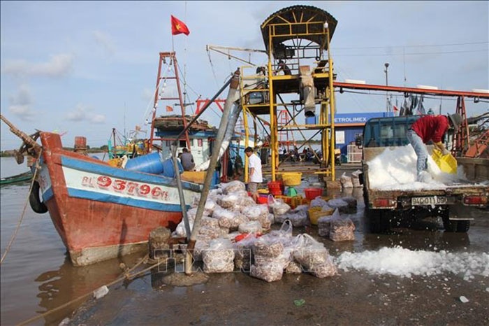 Một góc Khu neo đậu tàu thuyền tại cảng Gành Hào (huyện Đông Hải).