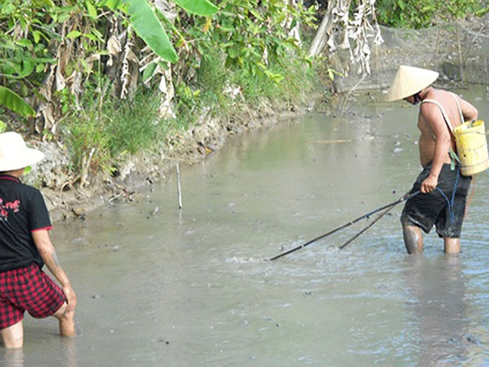 Đánh bắt thủy sản kiểu diệt tận.