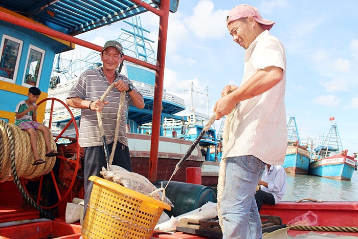 Ngư dân chuyển hải sản từ khoang tàu xuống tiêu thụ.