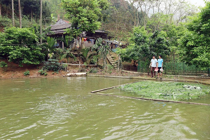Mô hình nuôi thủy sản tại thôn 2 Tân Văn.