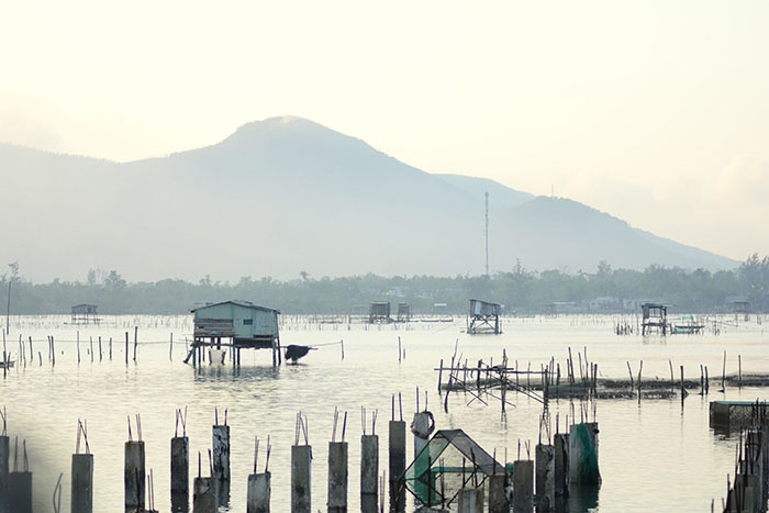 Đầm Lập An là vựa hàu lớn nhất của vùng vịnh Lăng Cô.