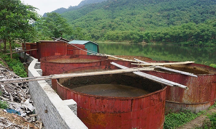 Xả thải ra sông khiến cá chết hàng loạt.